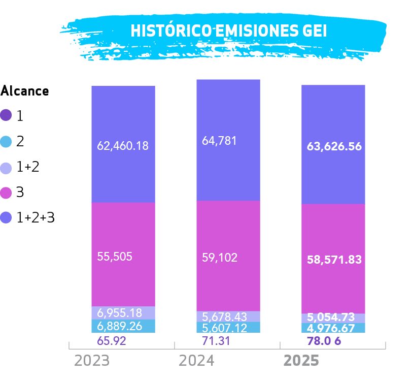 HISTORICO GEI